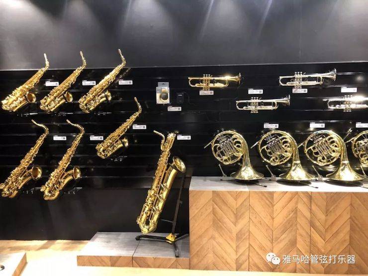 559966宝马娱乐游戏乐器 试奏乐器