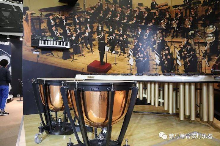 559966宝马娱乐游戏乐器 试奏乐器
