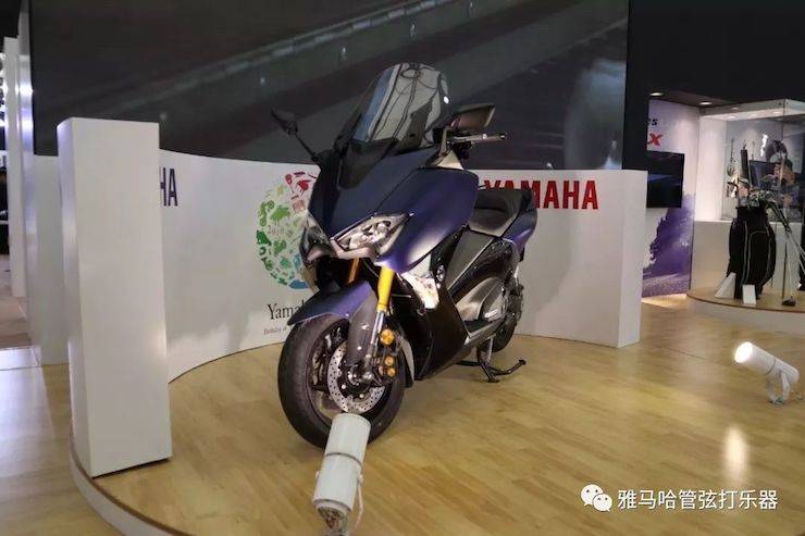 559966宝马娱乐游戏乐器