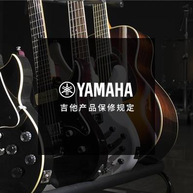 吉他、贝斯和音箱